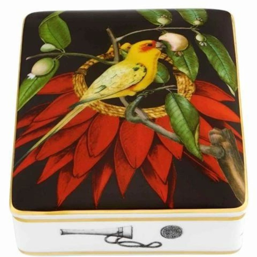 Storage * | Vista Alegre Amazonia Card Box Esc