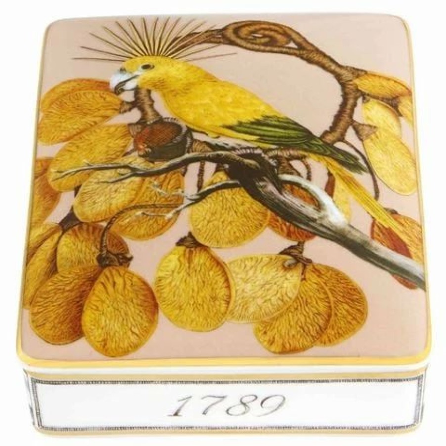 Storage * | Vista Alegre Amazonia Card Box Cla